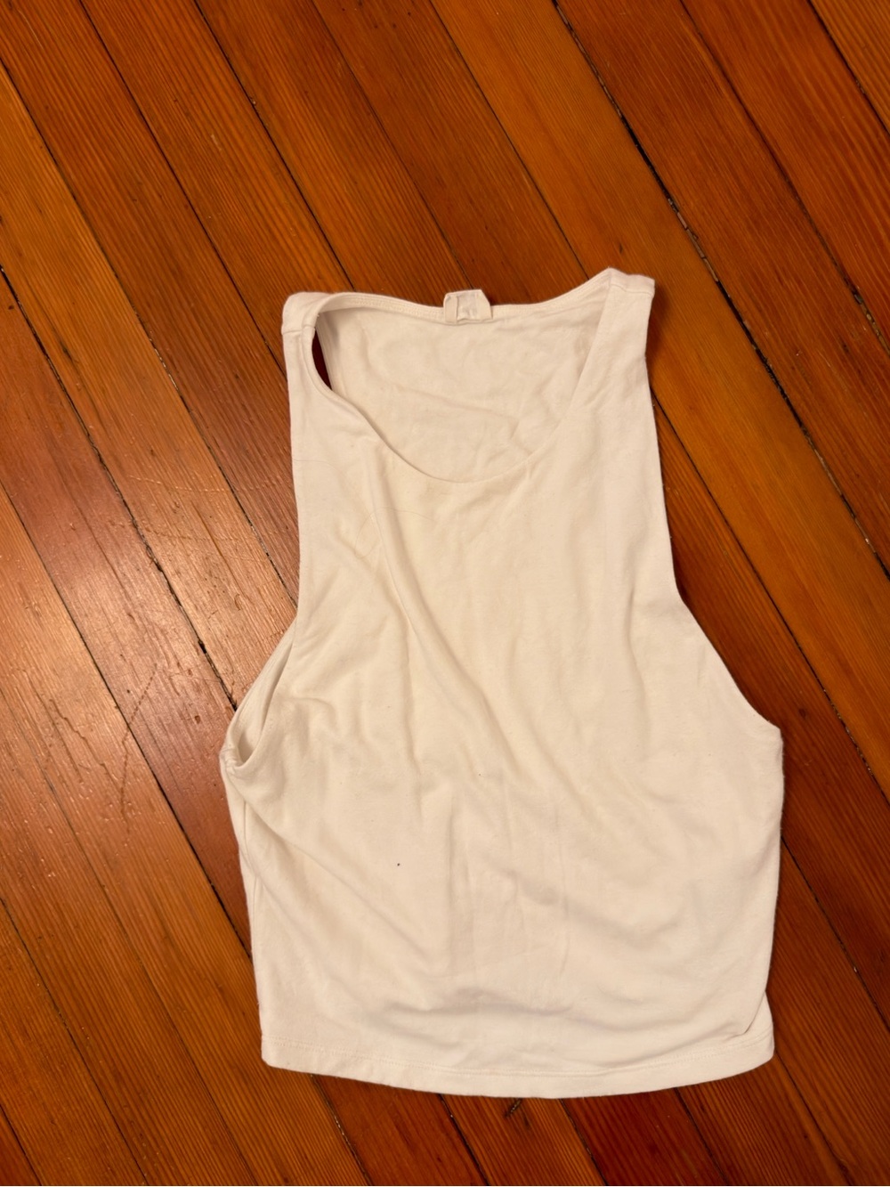 Aritzia Crop Top
